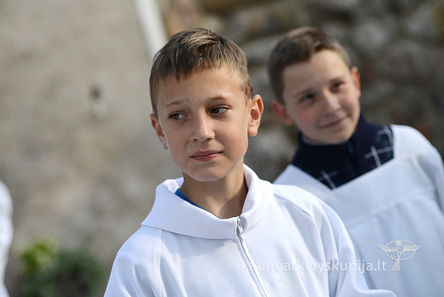 20140906 silines 9792 ms