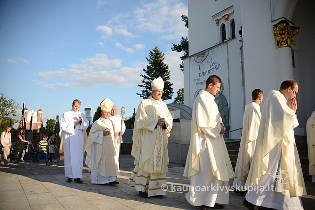 20140906 silines 9801 ms