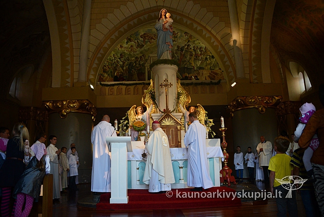 20140906 silines 9805 ms