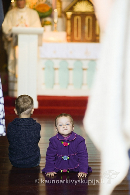 20140906 silines 9835 ms