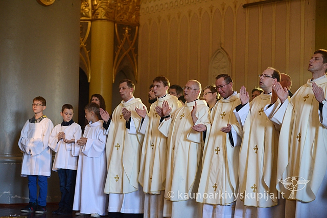 20140906 silines 9871 ms