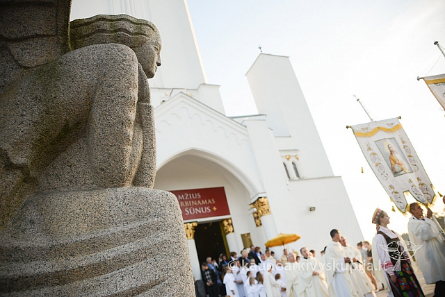 20140906 silines 9895 ms