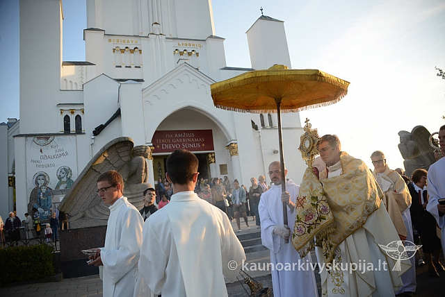 20140906 silines 9901 ms