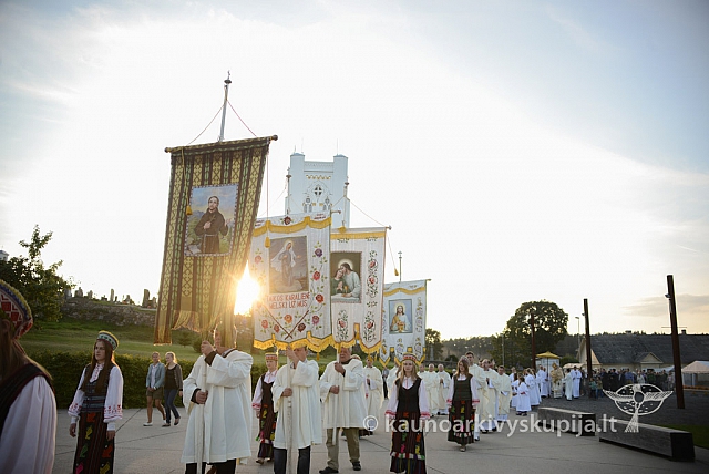 20140906 silines 9912 ms