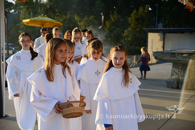 20140906 silines 9966 ms