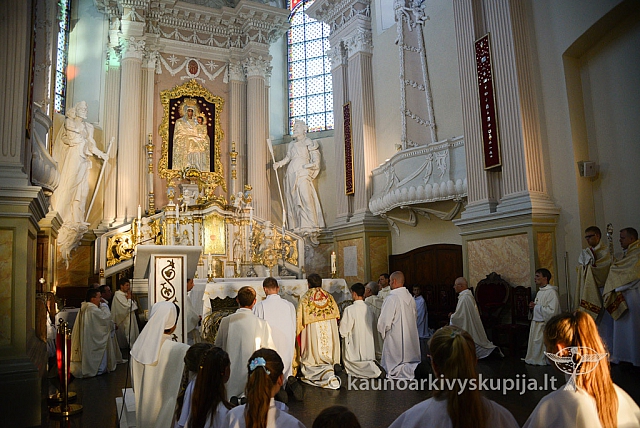 20140906 silines 9980 ms