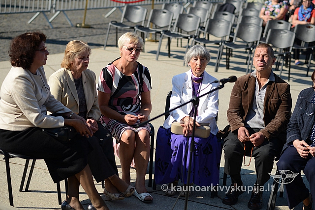 20140907 silines 0039 ms