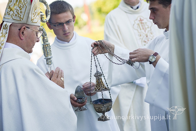 20140907 silines 0061 ms