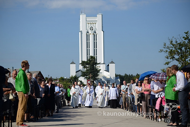 20140907 silines 0062 ms