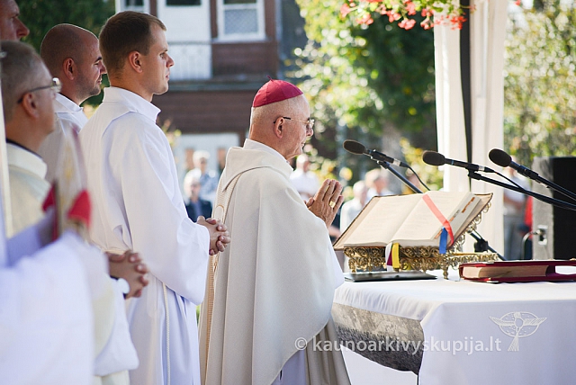 20140907 silines 0087 ms