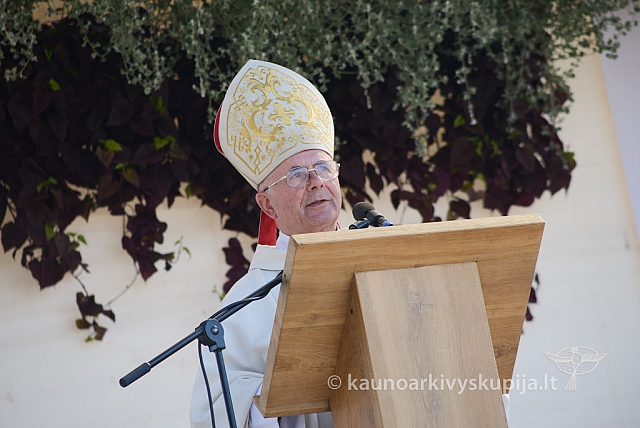 20140907 silines 0099 ms