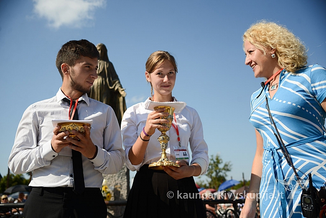 20140907 silines 0111 ms