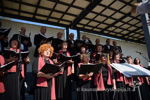 20140907 silines 0113 ms