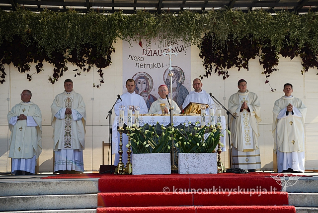 20140907 silines 0118 ms