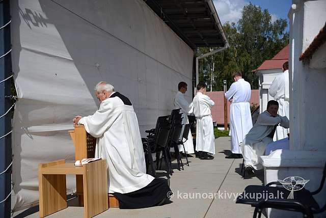 20140907 silines 0163 ms