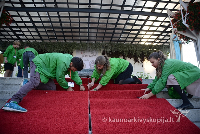 20140908 silines 0231 ms