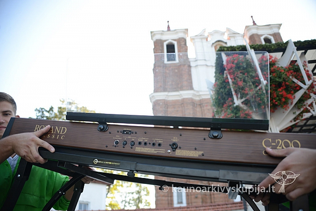 20140908 silines 0240 ms