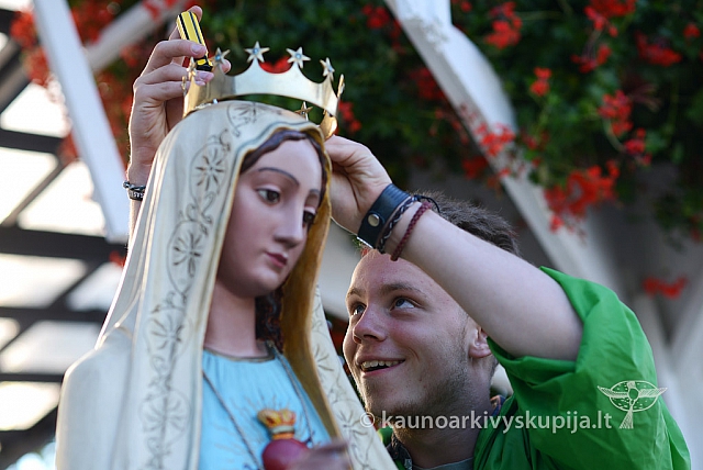 20140908 silines 0248 ms