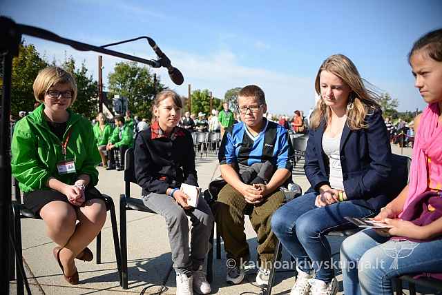 20140908 silines 0258 ms