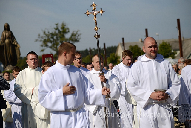 20140908 silines 0316 ms