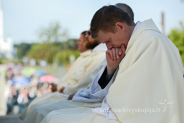 20140908 silines 0361 ms