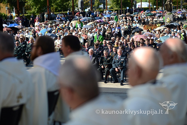 20140908 silines 0365 ms