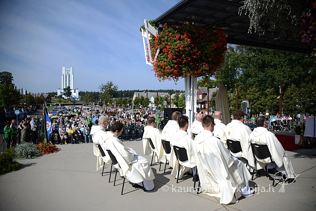 20140908 silines 0370 ms