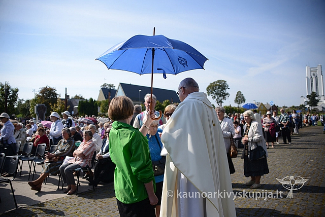 20140908 silines 0404 ms