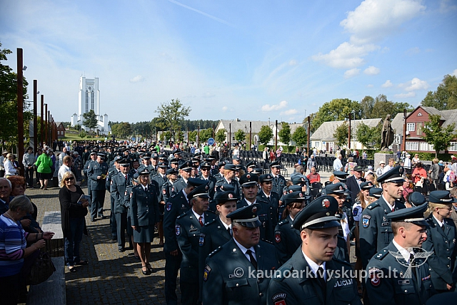 20140908 silines 0463 ms