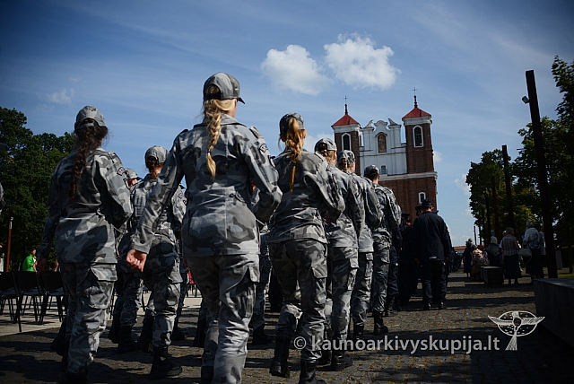 20140908 silines 0470 ms