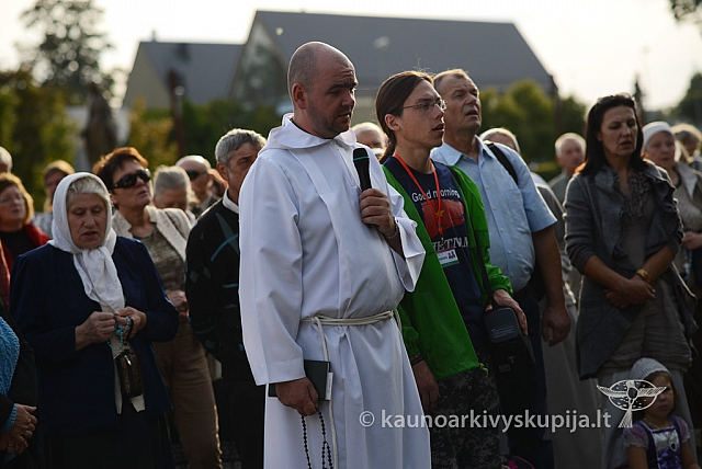 20140908 silines 0494 ms