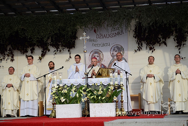 20140908 silines 0521 ms