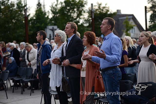 20140908 silines 0559 ms