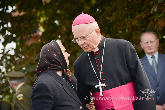 20140909 silines 0607 ms