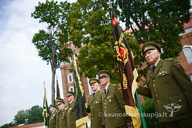 20140909 silines 0611 ms