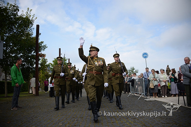 20140909 silines 0637 ms