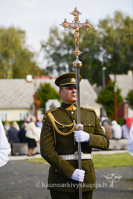 20140909 silines 0661 ms