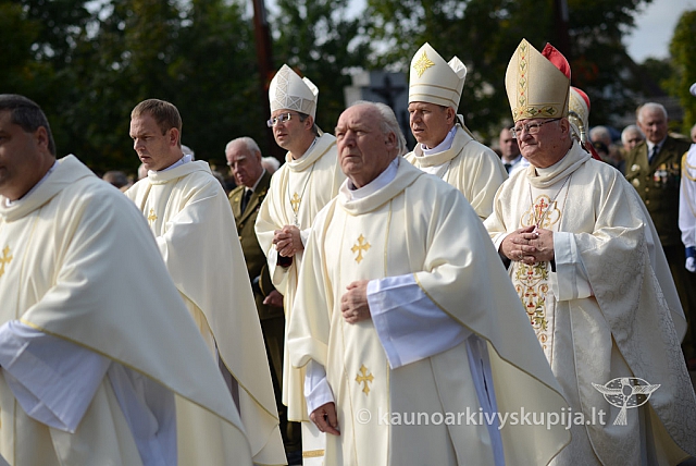 20140909 silines 0711 ms