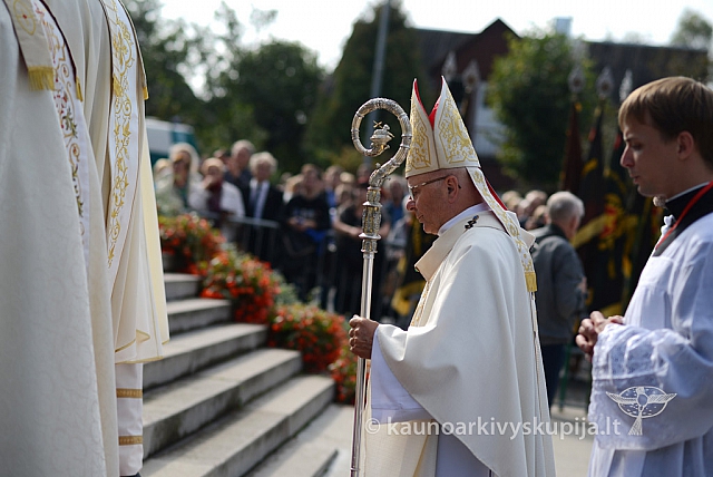 20140909 silines 0714 ms