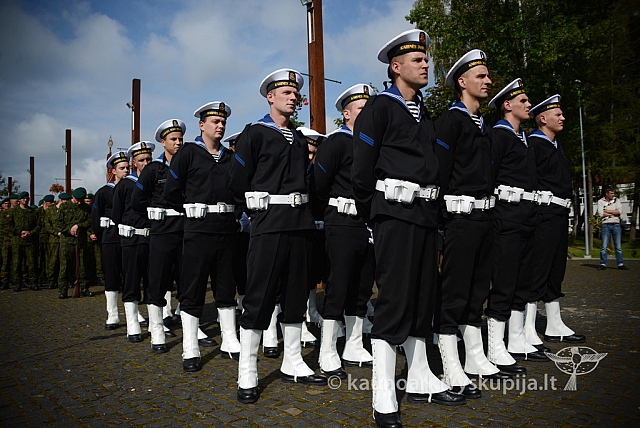 20140909 silines 0749 ms