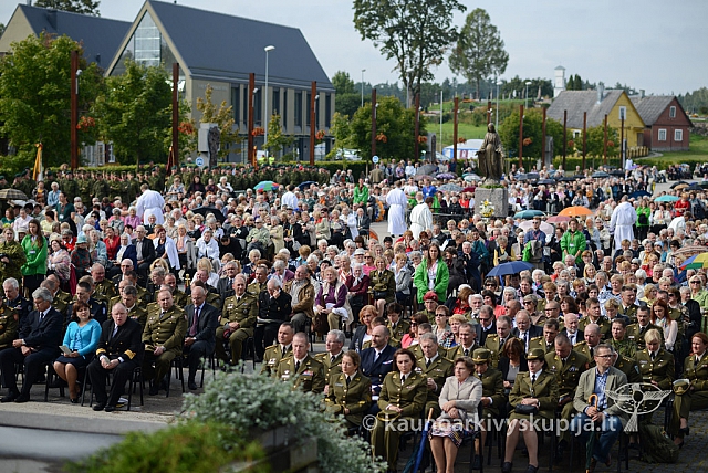 20140909 silines 0793 ms