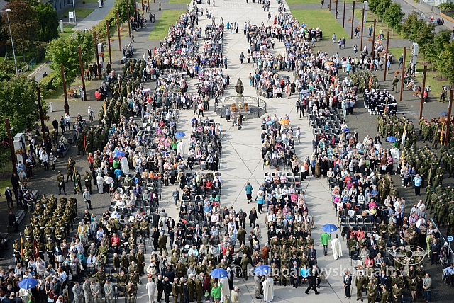 20140909 silines 0801 ms