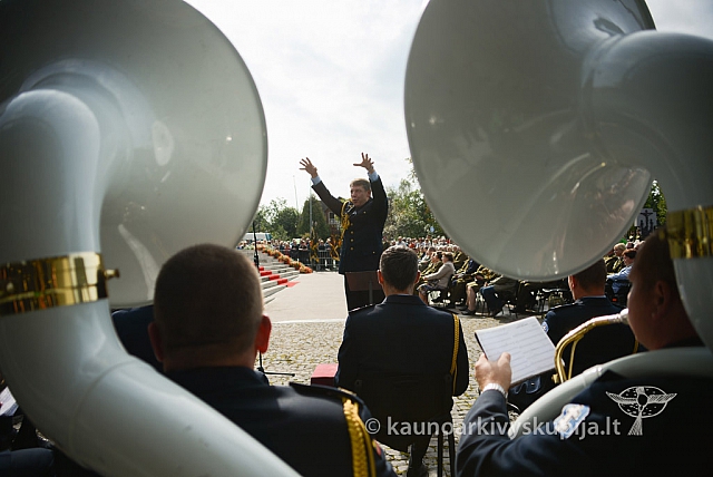 20140909 silines 0813 ms