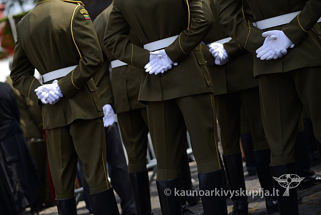 20140909 silines 0856 ms