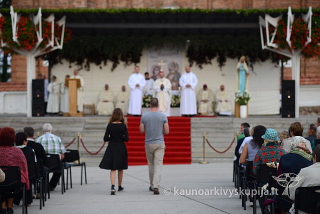 20140909 silines 0966 ms