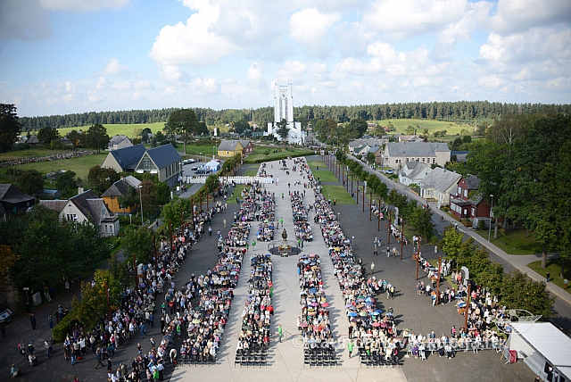 20140910 silines 1068 ms