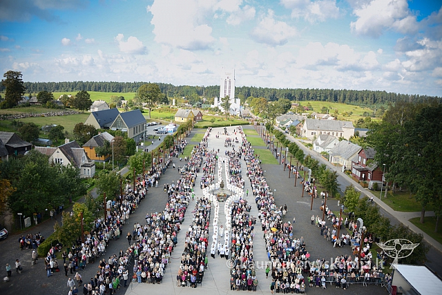 20140910 silines 1086 ms