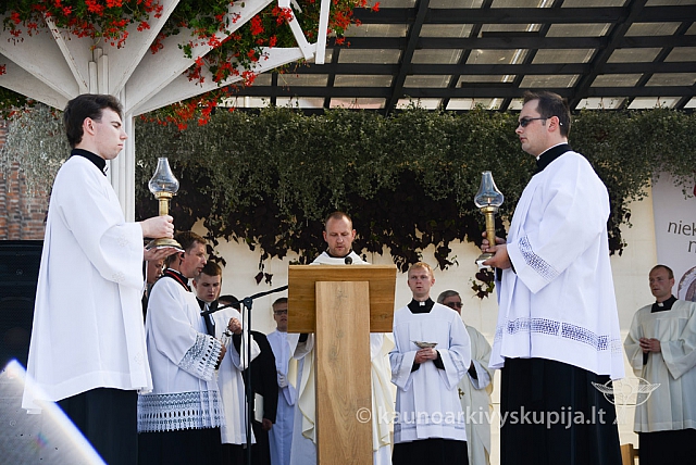 20140910 silines 1130 ms