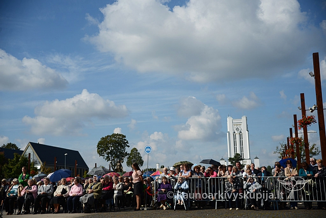 20140910 silines 1134 ms