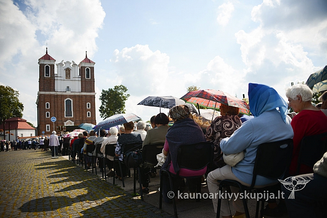 20140910 silines 1141 ms